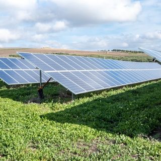 L’Italia è davvero un posto green? La fotografia del nostro Paese in un’infografica