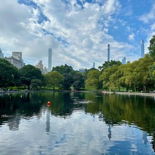 Tra parchi e orti urbani: le 10 migliori città italiane per performance ambientali