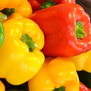 Il 2020 sarà l'anno del Peperone, con il Peperonario di Fata Zucchina