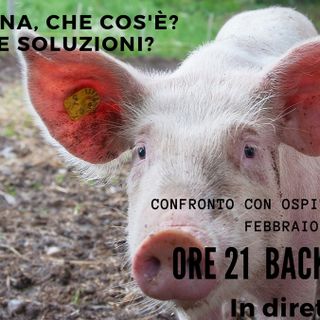 Peste suina e danni creati dagli animali selvatici. Quali le soluzioni possibili?