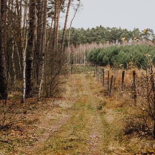 Alla scoperta della natura e dei tesori del Roero e del Monferrato: una giornata dedicata alla biodiversità e ai tartufi