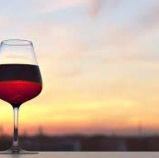 Consorzio Barbera d’Asti e Vini del Monferrato: una splendida annata, una grande vendemmia