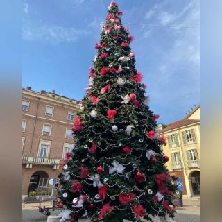 Allestito in mattinata il grande albero di Natale in piazza San Secondo