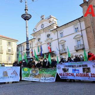 Foto di Merfephoto