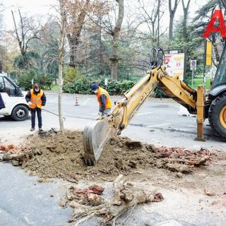Piantumazione nuovi alberi in via rosselli (archivio 2020 MerfePhoto)