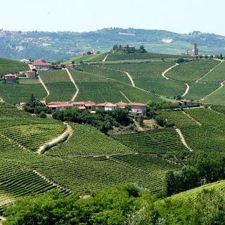 Dalla Regione 280mila euro per sostenere l’organizzazione turistica del Piemonte