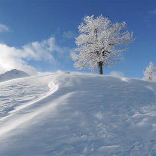 Le vacanze invernali si passano in Piemonte. Secondo il sondaggio Metis, il 35% degli italiani pensa a una vacanza  nel prossimo inverno e di questi il 49% sceglierebbe il Piemonte