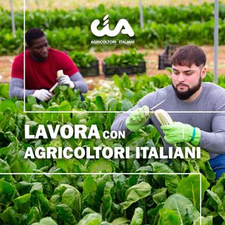 Cia lancia la piattaforma “Lavora con agricoltori italiani”. Sos manodopera: piattaforma su web per far incontrare domanda e offerta