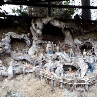 A Cisterna d'Asti un presepe è allestito tra le radici di una riva in Bricco Scaglia