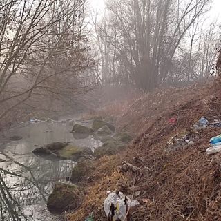 Volontari della Protezione civile di Asti sul Versa per abbattimento piante [FOTO]