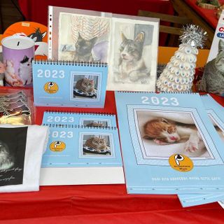 'A Natale i regali fanno le fusa': Protezione Micio presente la Magico Paese di piazza Roma