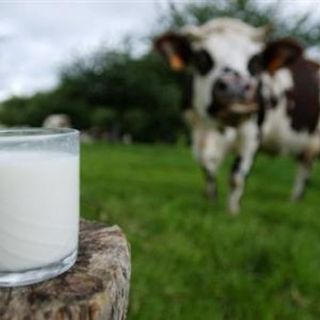 Tavolo del latte Piemonte, assessore Protopapa: “Le nostre aziende agricole necessitano di risposte urgenti&quot;