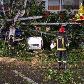 Maltempo di inizio agosto: la Regione chiede lo stato di emergenza