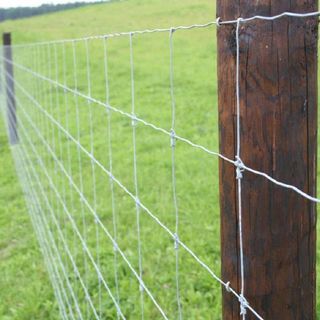 Confagricoltura Piemonte, Psa:  “Bene la proroga per l’emergenza, ma si proceda con le reti”