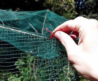 Bando per l'acquisto di reti antigrandine per gli agricoltori del Piemonte