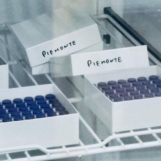 Scatole di vaccini anti Covid