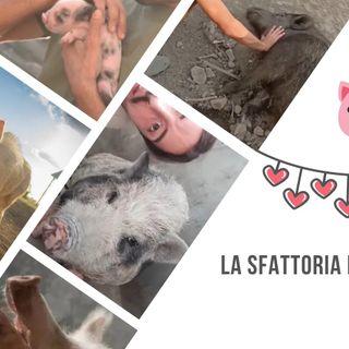 Europa Verde Verdi di Asti vicina alla &quot;Sfattoria degli ultimi&quot; rifugio che cura maiali e cinghiali salvati da tragiche situazioni