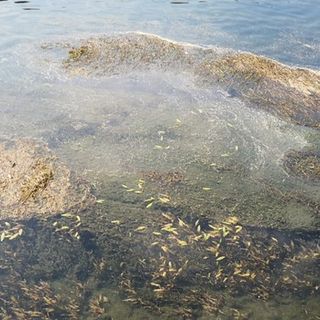 Siccità, il Piemonte domani chiederà l'allerta rossa: &quot;Altri Comuni a rischio stop notturno acqua