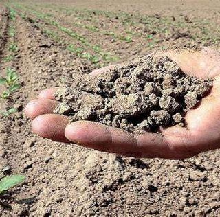 Siccità Asti: il consigliere Cerruti (M5S) chiede iniziative sulla gestione dell’acqua e campagne di sensibilizzazione