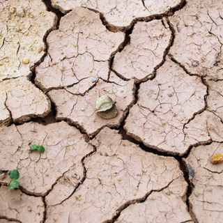 Clima pazzo in Piemonte: nel 2022 il nono inverno più caldo di sempre