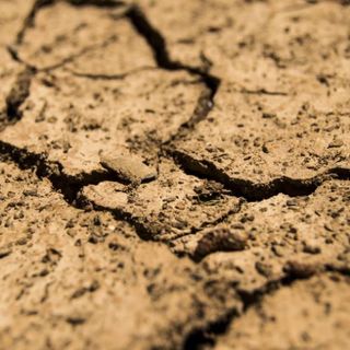 Siccità, la Regione vola a Roma: all'orizzonte lo stato d'emergenza e nuovi razionamenti [VIDEO]