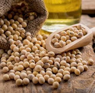 Confagricoltura: aumentano i prezzi dei cereali e della soia, allevamenti sotto pressione