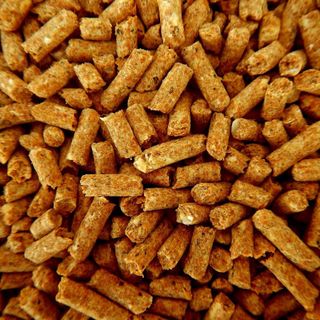 Stufe a pellet risparmio energetico Roma
