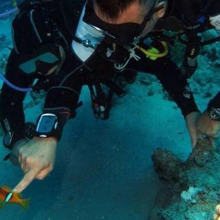 Domenica alla piscina comunale di Asti una giornata alla scoperta della subacquea