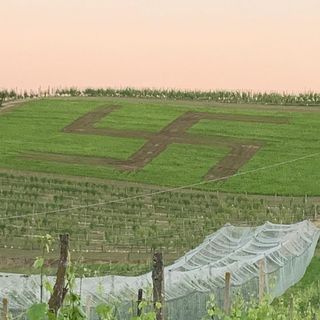 Un contadino 80enne il responsabile della svastica &quot;comparsa&quot; a San Damiano