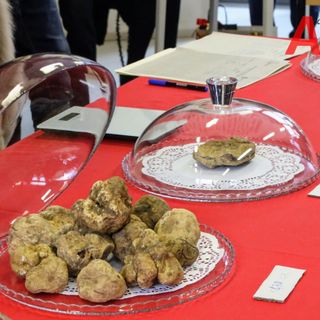 Fino a sera Asti profuma di tartufo con la Fiera Nazionale. I palazzi storici hanno aperto le porte al gusto [FOTOGALLERY]