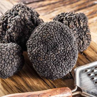 Bianco o nero il tartufo divide l'Alto Astigiano e fa discutere il territorio
