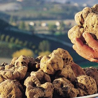 Le eccellenze enogastronomiche dell'Astigiano protagoniste della prima puntata di &quot;Bellissima Italia&quot;, su Rai2