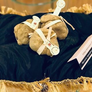 Castello di Grinzane Cavour: presentata a Mosca la XX edizione dell'asta mondiale del tartufo bianco