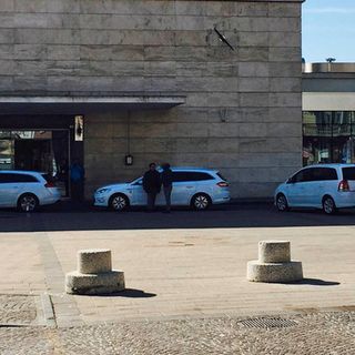 I taxi astigiani vanno in aiuto degli animali abbandonati