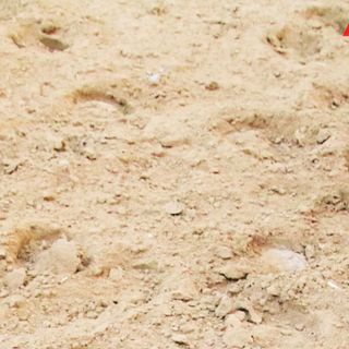 La terra e gli zoccoli dei cavalli, il simbolo di questo Palio che non c'è (MerfePhoto)