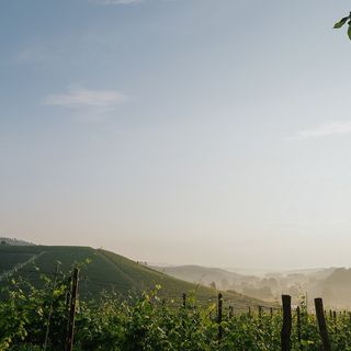 Panorama Terre Alfieri