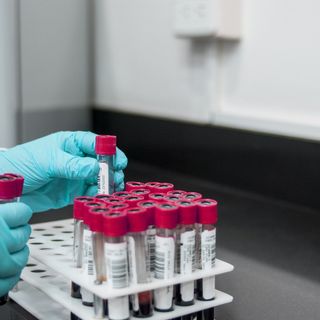 Coronavirus, il Piemonte ha la più alta percentuale di persone tracciate con il test virologico