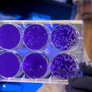 Coronavirus: sono 47 le persone risultate positive al test in provincia di Asti