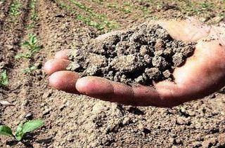Per l’agricoltura piemontese 26 milioni di euro annuali