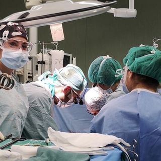 Il cuore della solidarietà batte forte in Piemonte: oltre 400 trapianti di organi nei primi nove mesi dell'anno