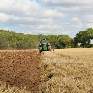 Siccità in Piemonte: la Regione richiede lo stato di calamità naturale