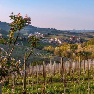 Per il turismo piemontese quasi 76 milioni di euro,  è questa la disponibilità finanziaria dal Bilancio di previsione
