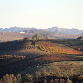 Coronavirus, nasce il tavolo tecnico di monitoraggio, targato Ente Turismo Langhe Monferrato Roero