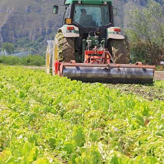 Agricoltura: dalla Regione in arrivo 12,7 milioni di euro per le aziende agricole