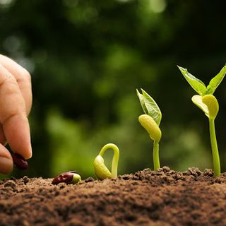 Accordo di collaborazione tra la Regione e Unioncamere Piemonte per un progetto di educazione alimentare