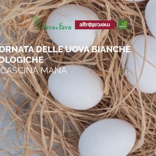 Una gustosa giornata dedicata alle uova bianche bio di Cascina Mana al NaturaSì di corso Torino