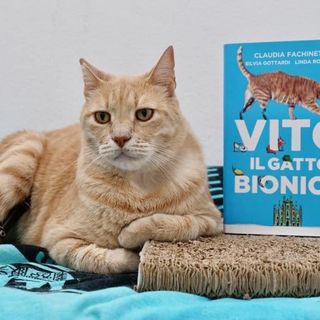 Villanova: la storia di Vito &quot;il gatto bionico&quot; diventa un libro sull'amicizia che non conosce diversità