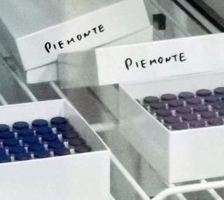 Vaccini anti Covid