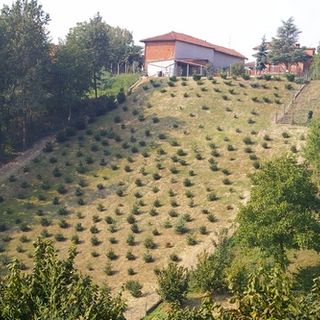 Aree collinari di Valleandona. No alla variante dal Movimento Stop al Consumo di Territorio Astigiano e del Forum Salviamo il Paesaggio