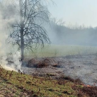 Tre incendi sterpaglie nel pomeriggio a Viarigi nei pressi di un bosco